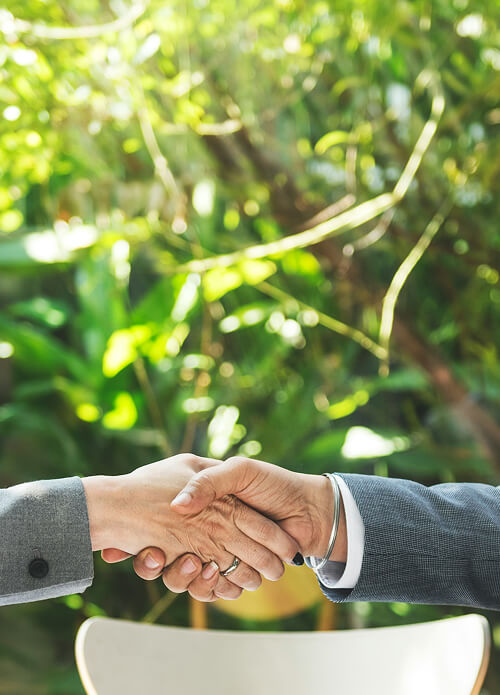 Two people in business suits shaking hands outdoors with green foliage in the background.